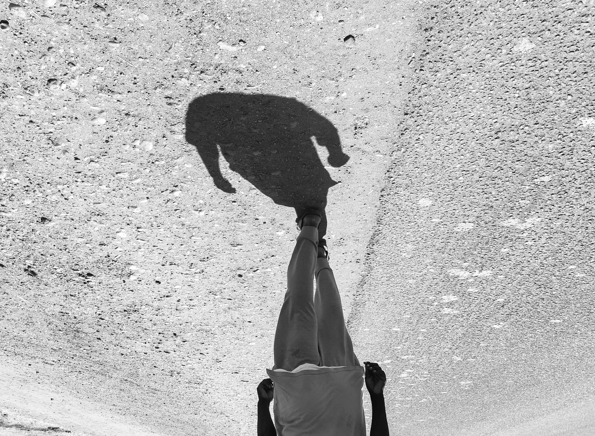 I Will Never Find Home image 16